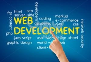 web-development-company-in-coimbatore