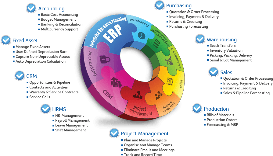Gyration of ERP software as a life blood of business