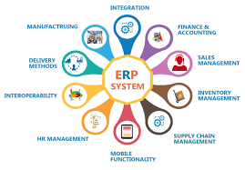 Gyration of ERP software as a life blood of business